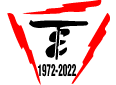 Tarnes Electric Ltd Logo