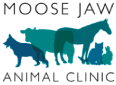 Moose Jaw Animal Clinic Logo