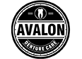 Avalon Denture Care Logo
