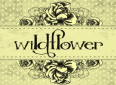 Wildflower Florist Logo